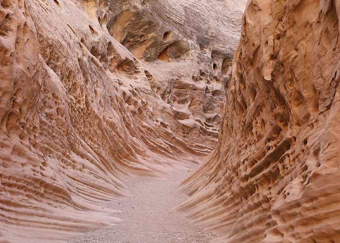 Ribs of sandstone
