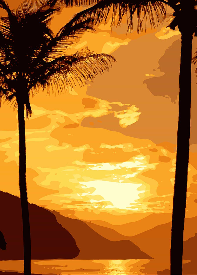Sunset and Coconat Trees