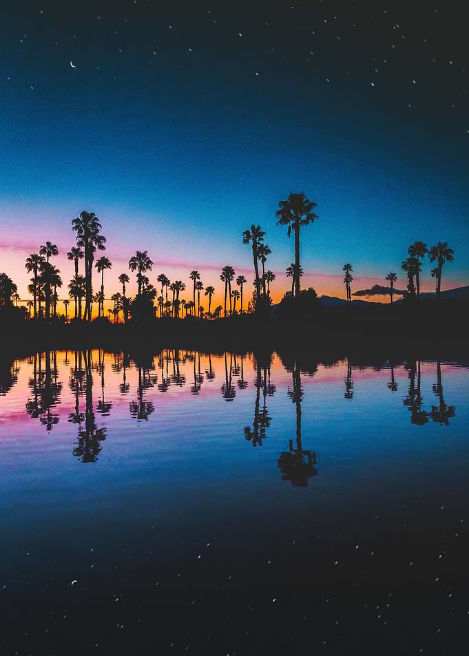 DESERT NIGHTS