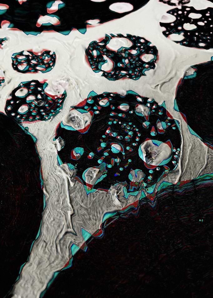 electricShrooms