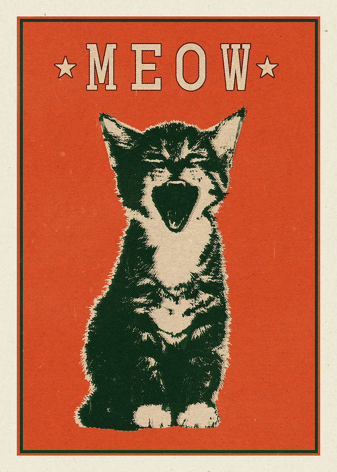 Meow CAT
