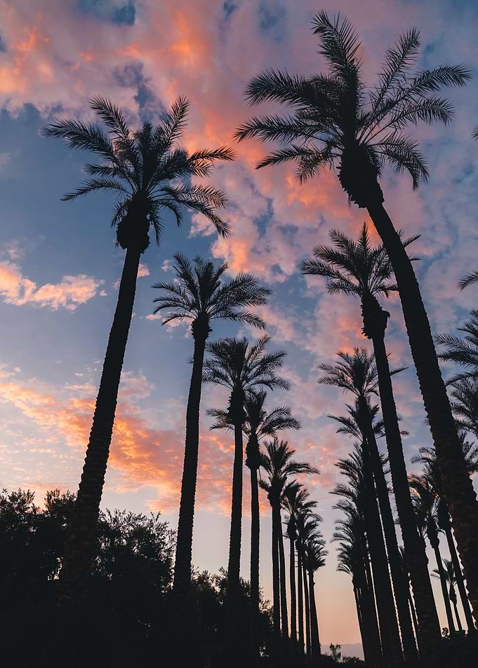 SUNSET LOVER