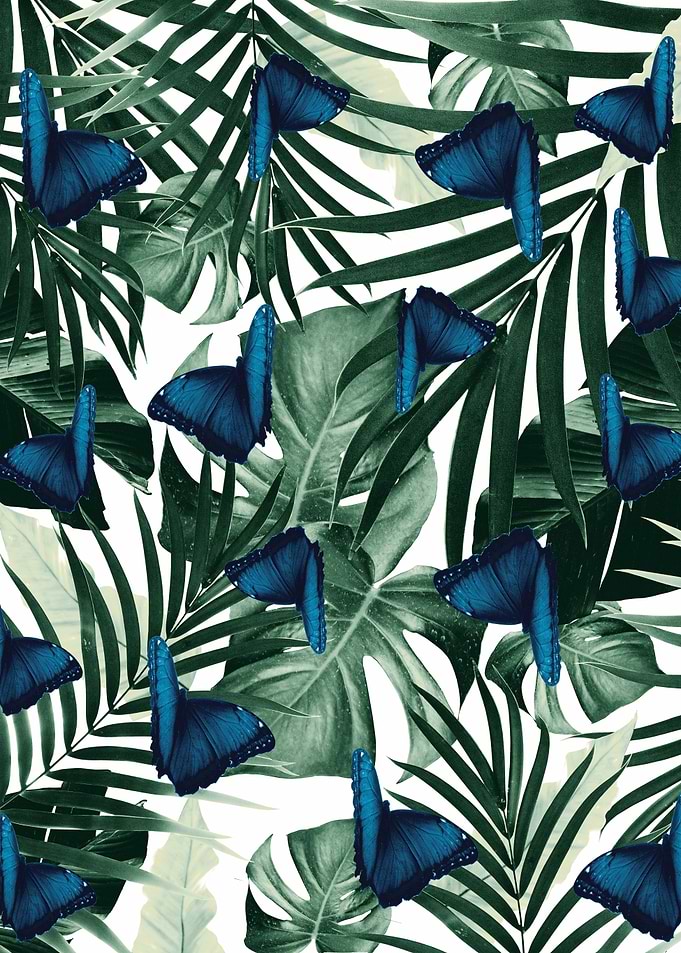 Butterfly Jungle 5