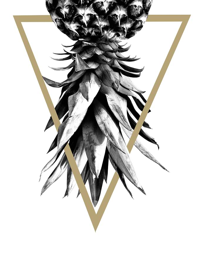 Pineapple Geo 1