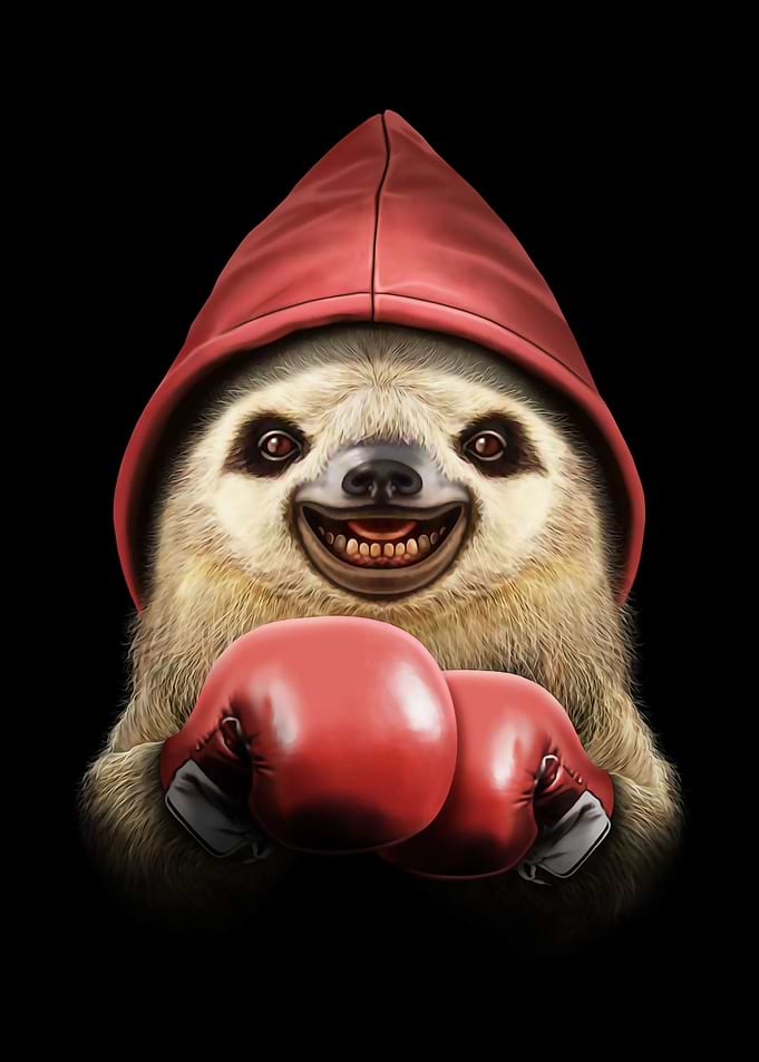 BOXING SLOTH