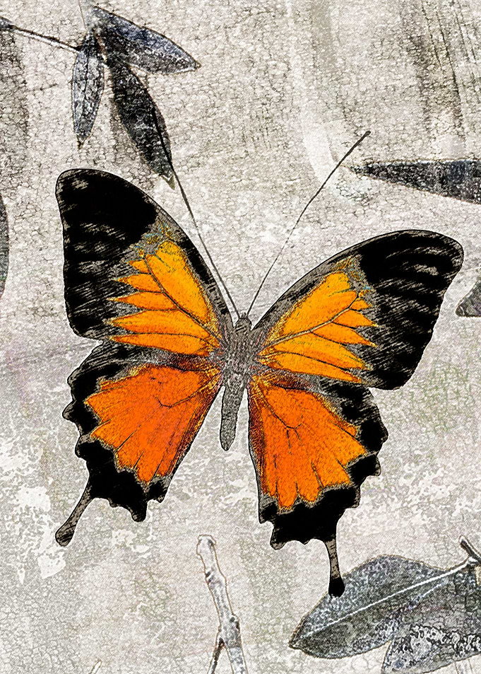 Papillon I