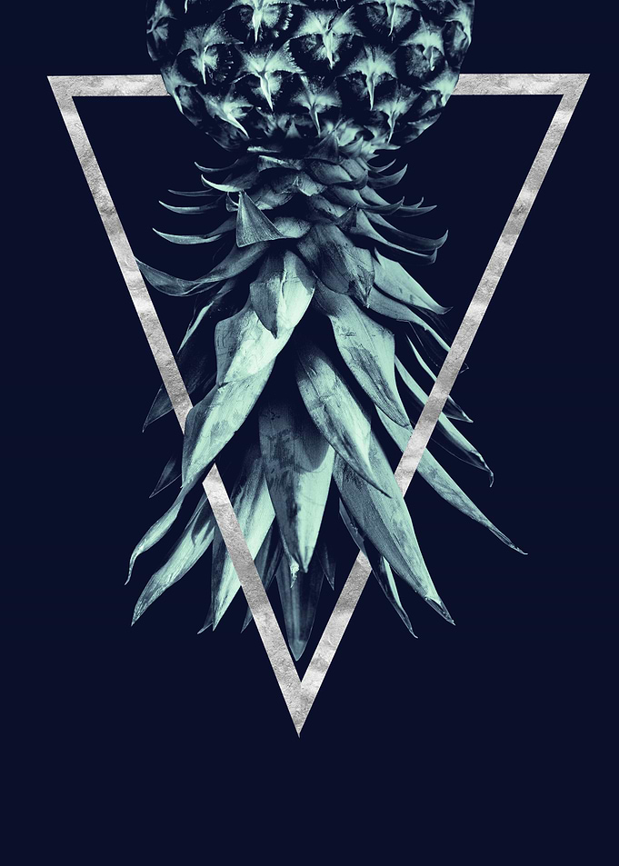 Pineapple Geo 2