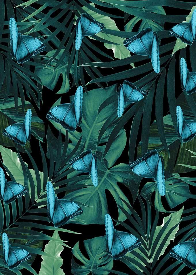 Butterfly Jungle 5