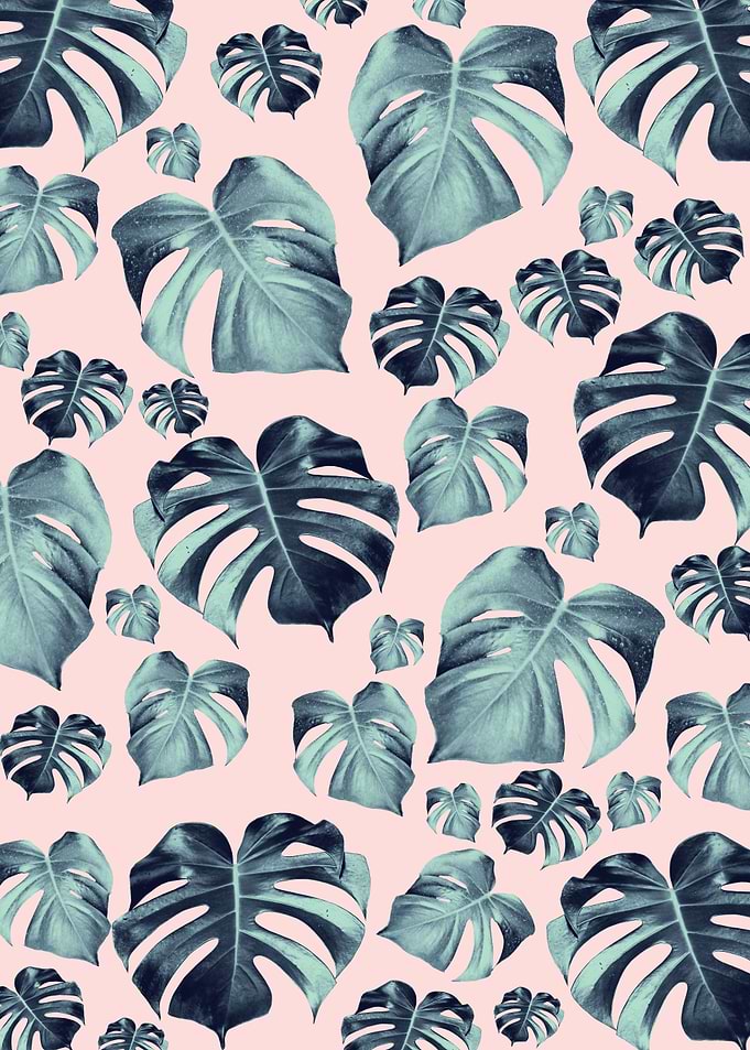 Monstera Pattern 1