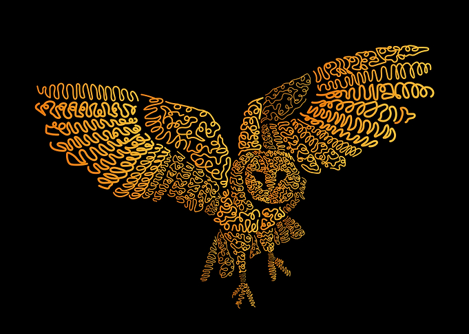 Hand drawn owl fly