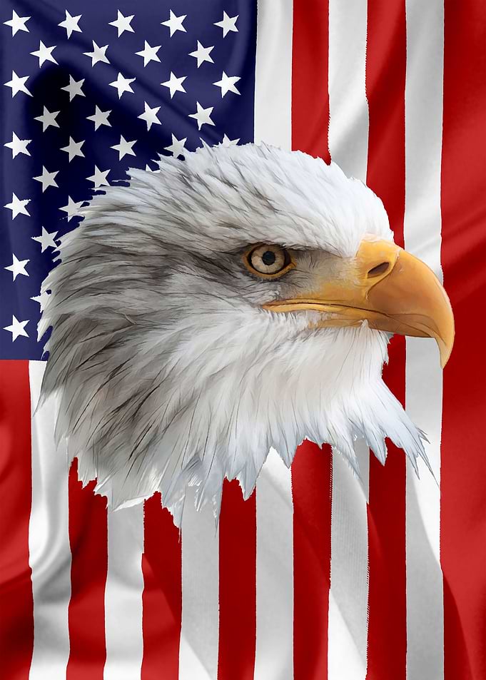 American Eagle Flag 10