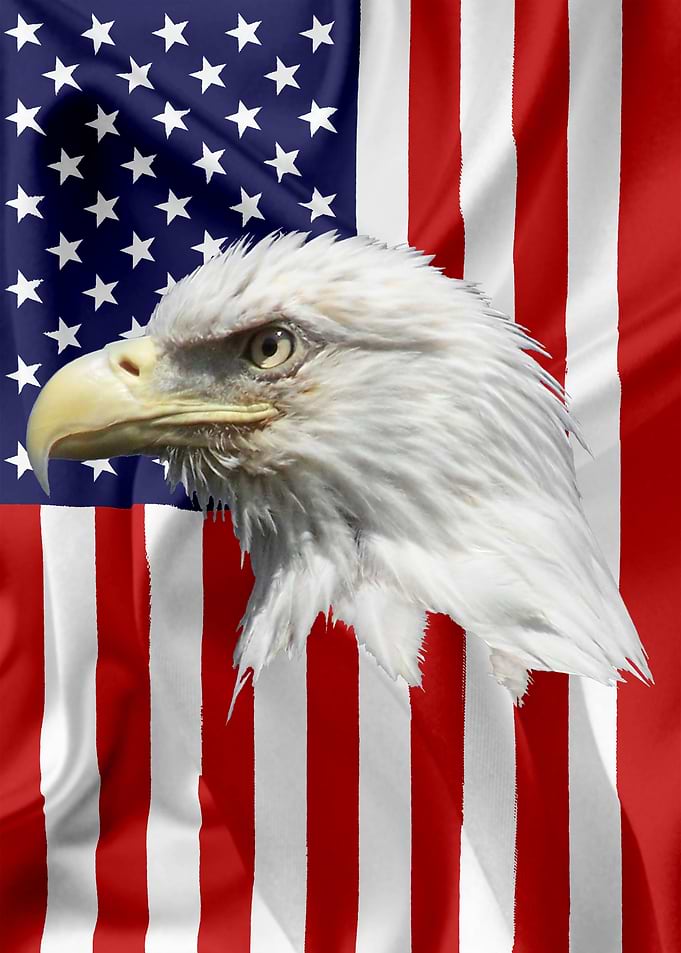 American Eagle Flag 16