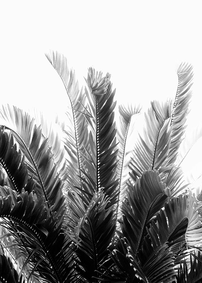 Tropical Leaves Dream 3