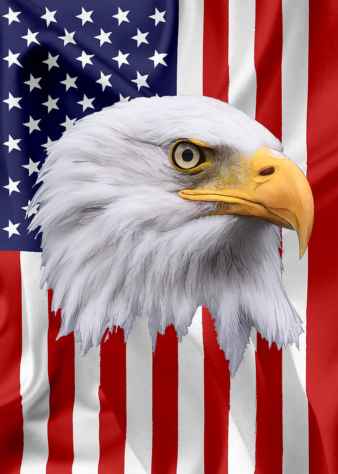 American Eagle Flag 11
