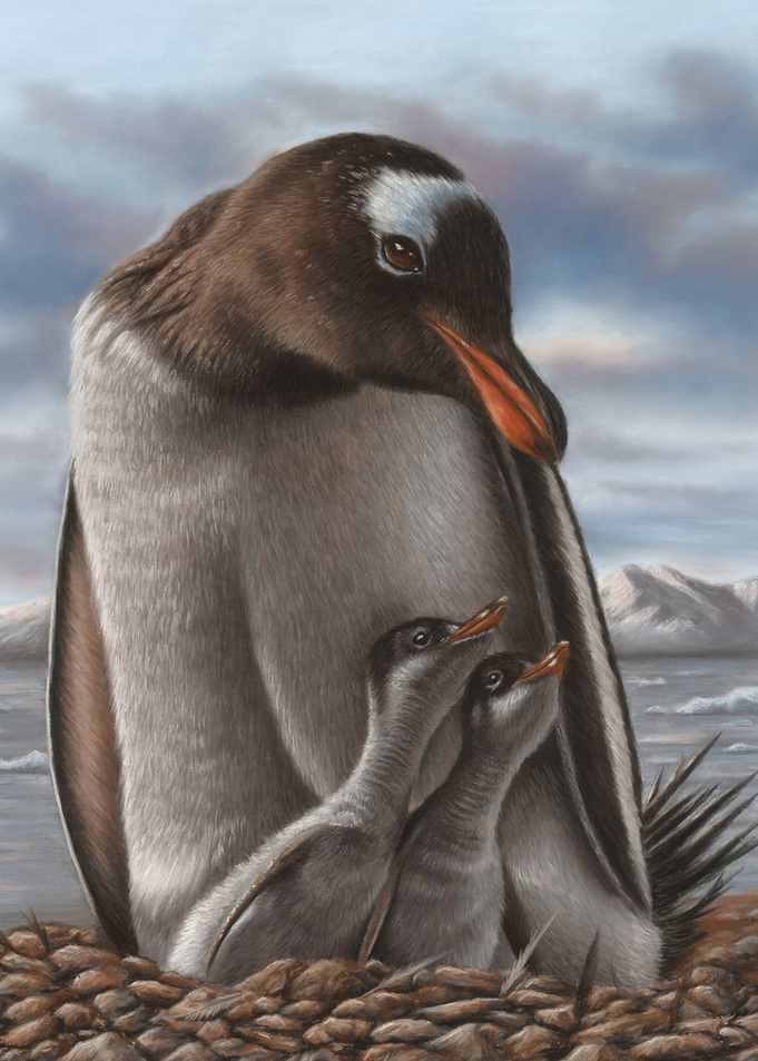 Penguin and Chicks