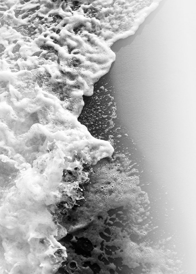 Ocean Beauty 5