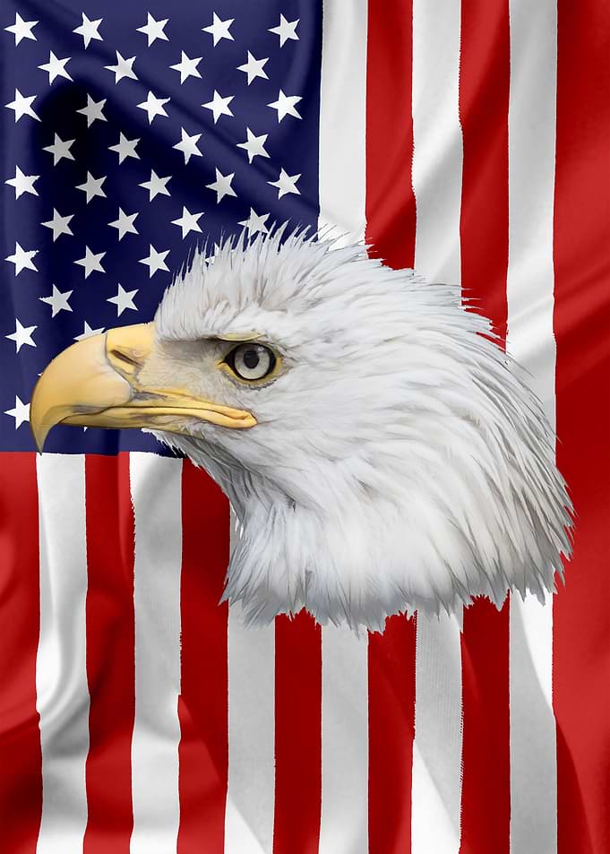 American Eagle Flag 12