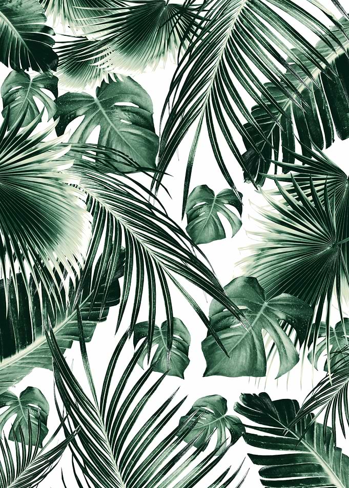 Tropical Jungle Leaves 7