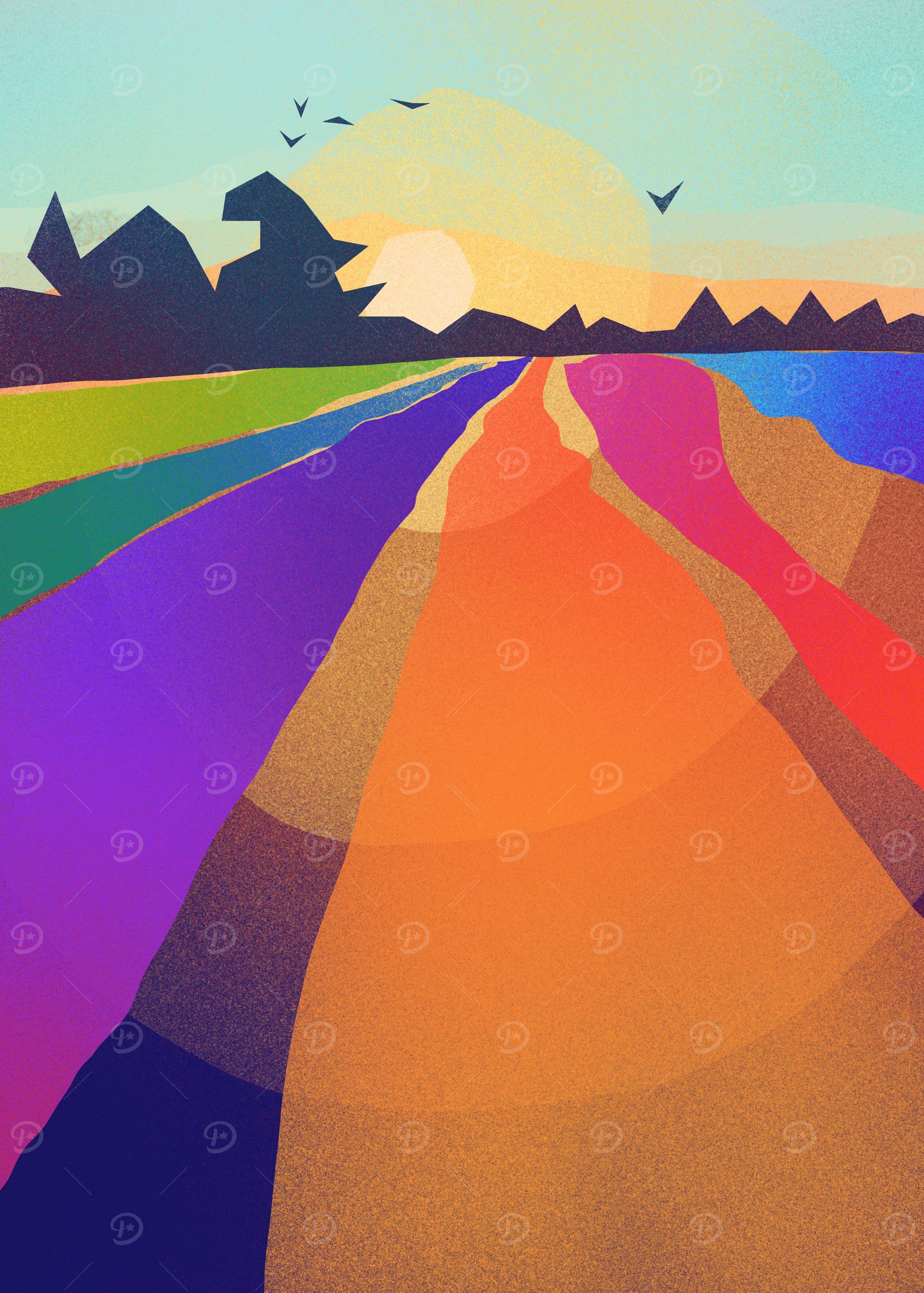 Field of Rainbows