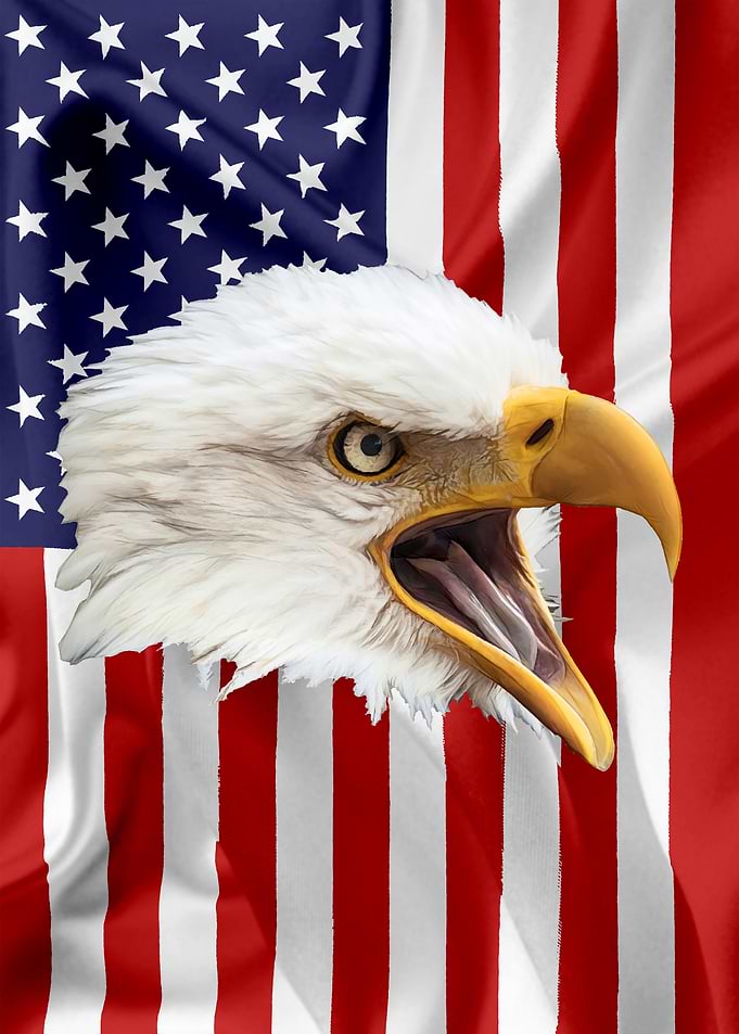 American Eagle Flag 04