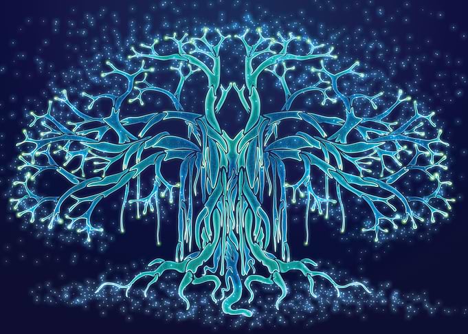 Space Banyan