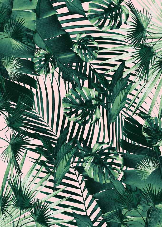 Jungle Leaves Siesta 1