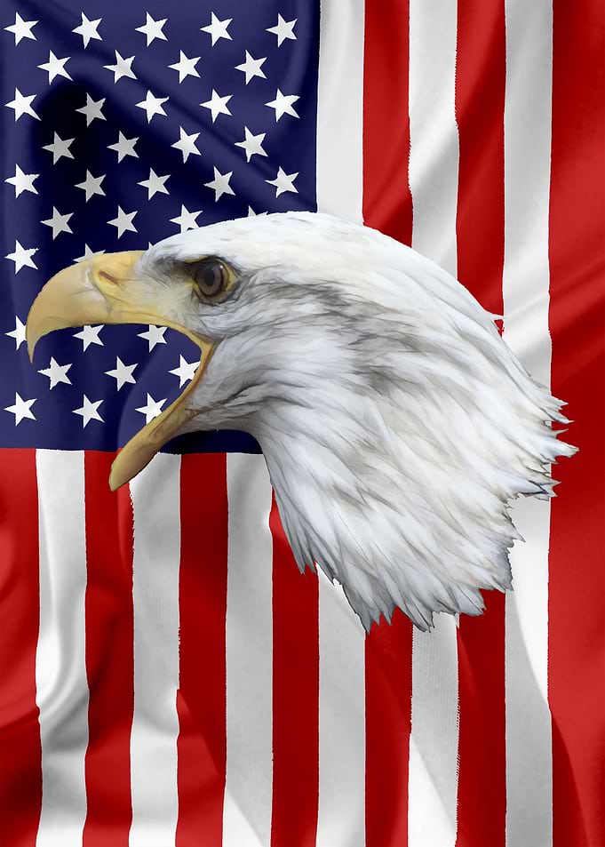 American Eagle Flag 05