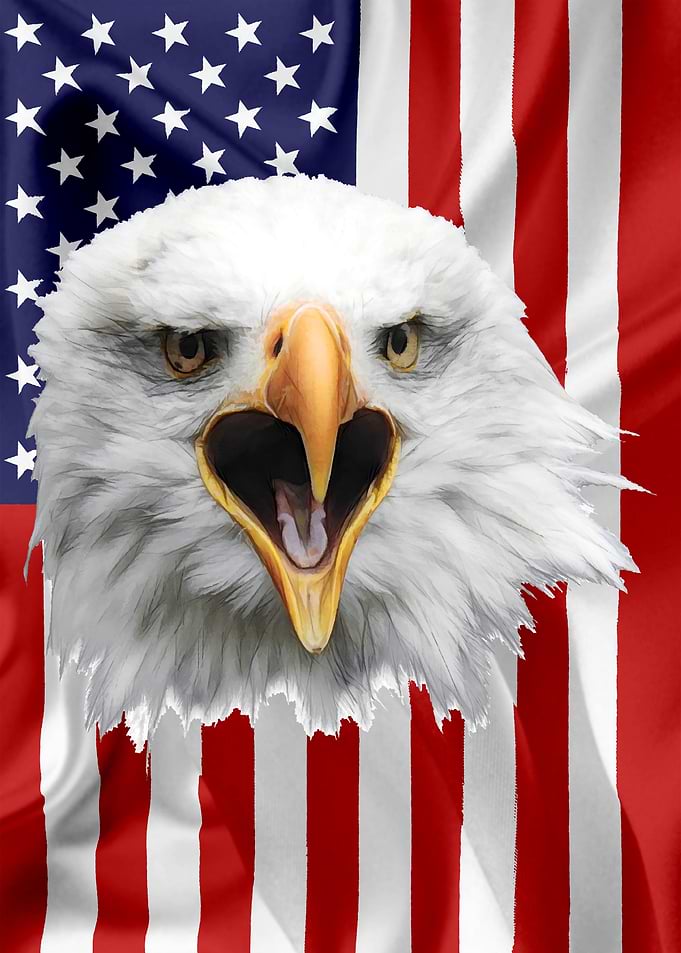 American Eagle Flag 13