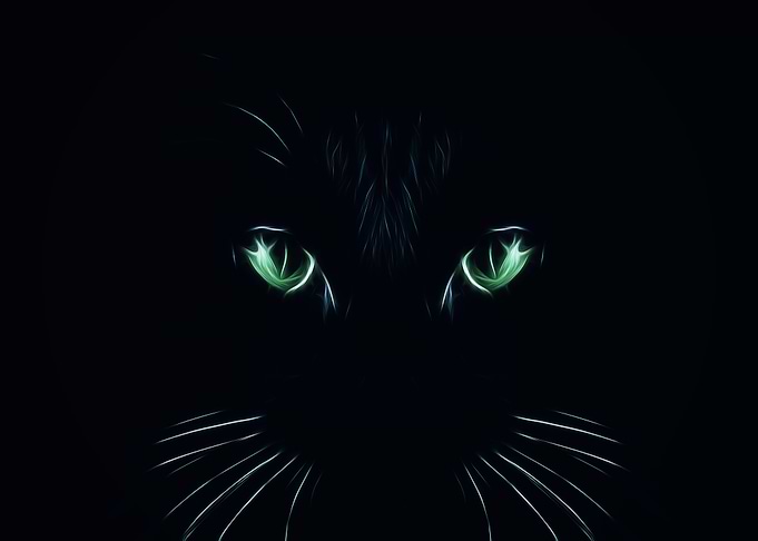Eyes