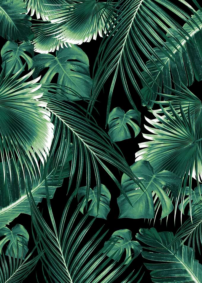 Tropical Jungle Leaves 6