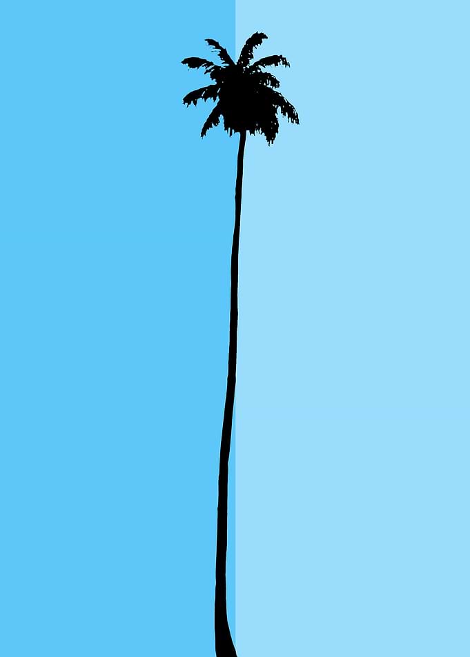 Just a Palm Tree 4