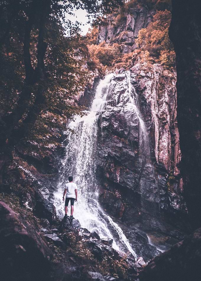 Falling dreams