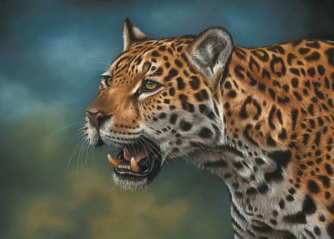 Jaguar