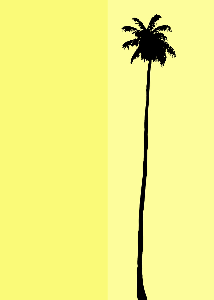 Just a Palm Tree 5