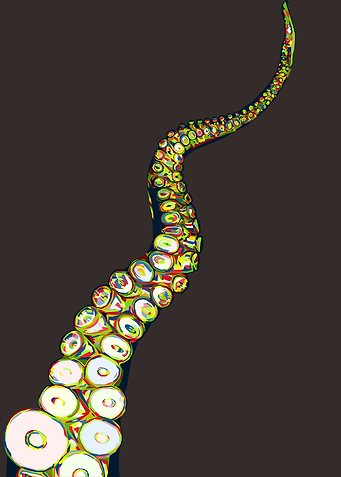 Colorful Tentacle