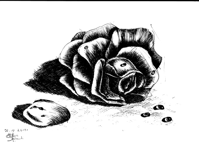 a drop of Rose
