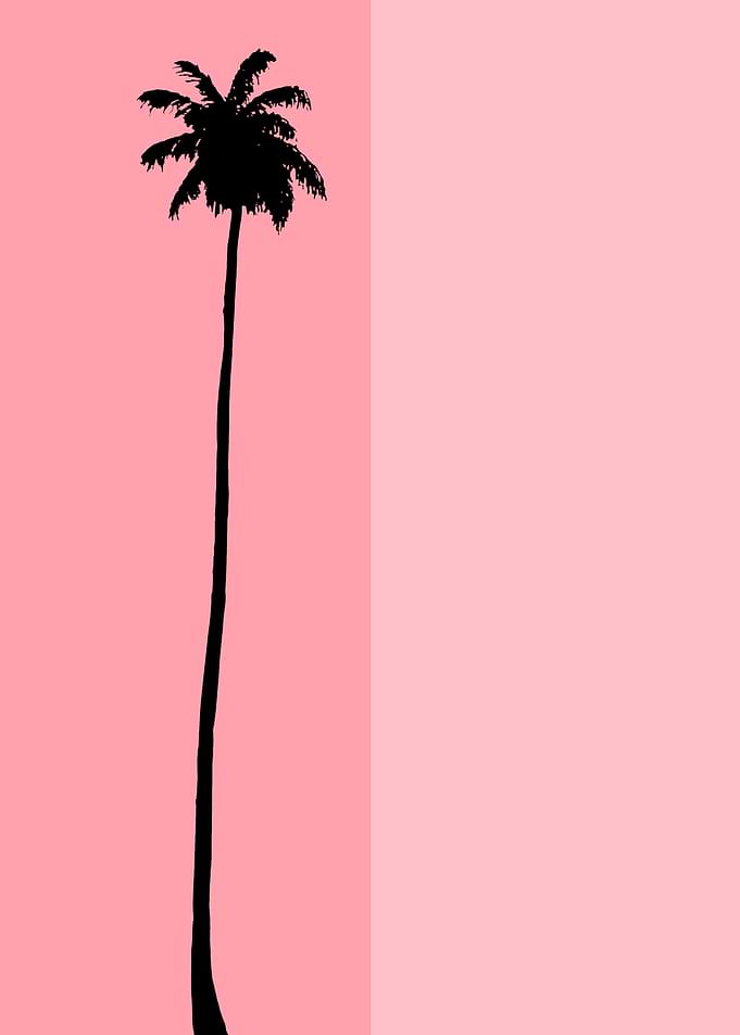 Just a Palm Tree 3