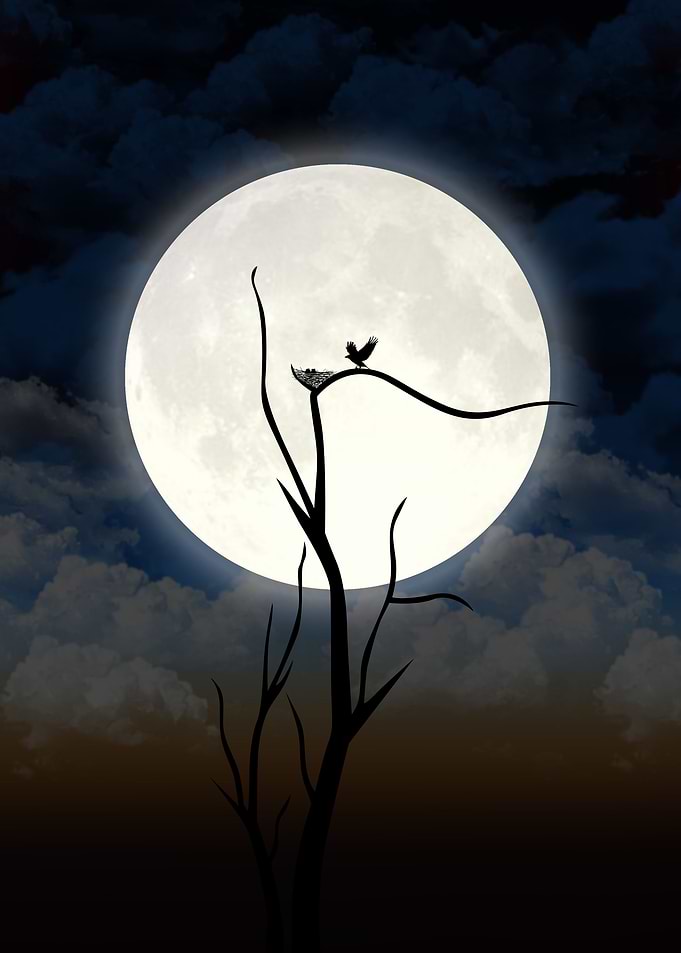 Moon with tree