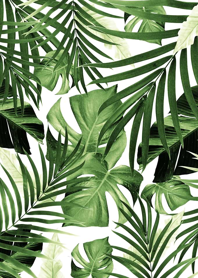Tropical Jungle Leaves 12