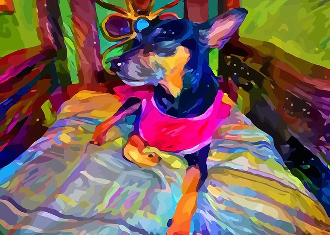 Kira