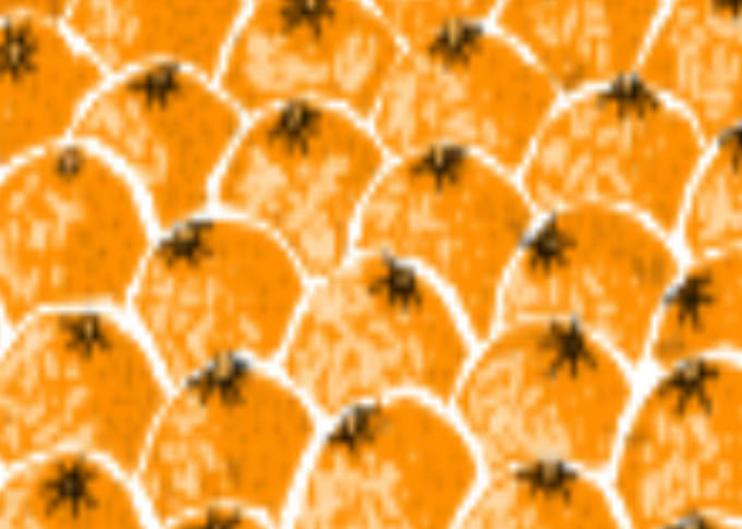 oranges