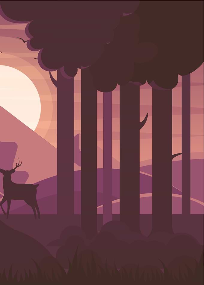 deer 1