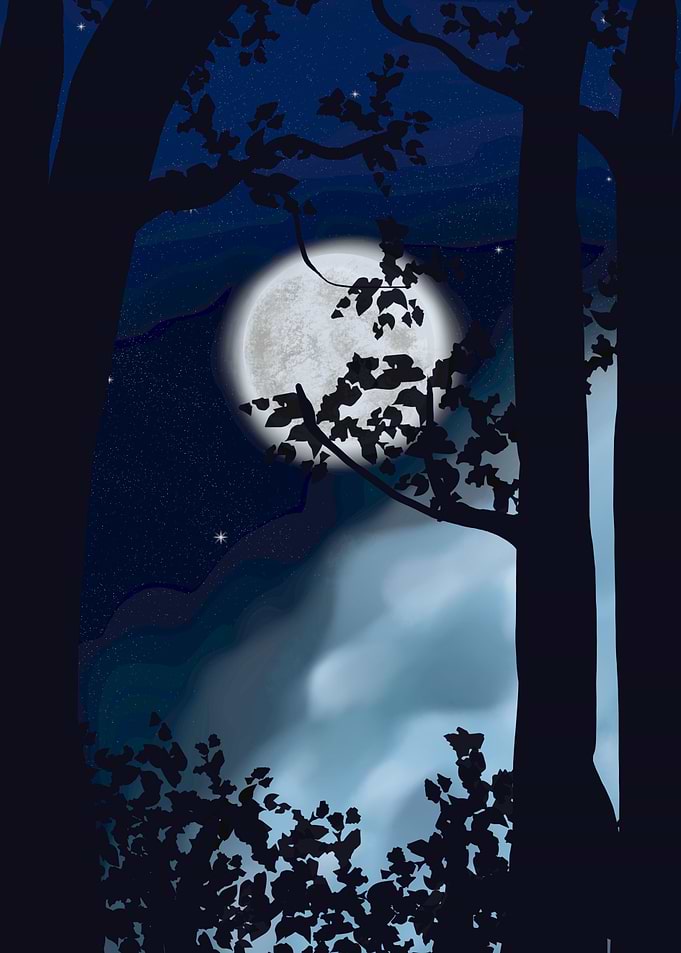 moon night