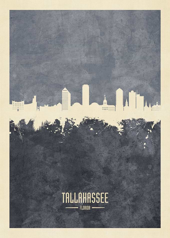 Tallahassee Skyline