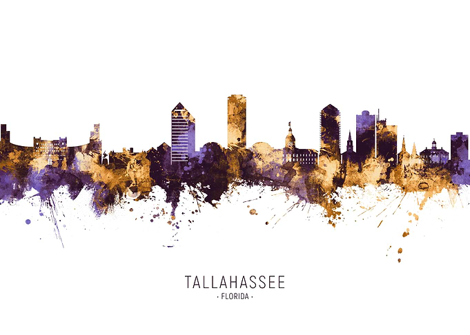 Tallahassee Skyline
