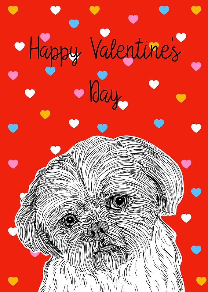 Shih Tzu Valentines Day