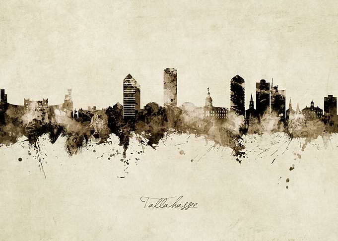 Tallahassee Skyline
