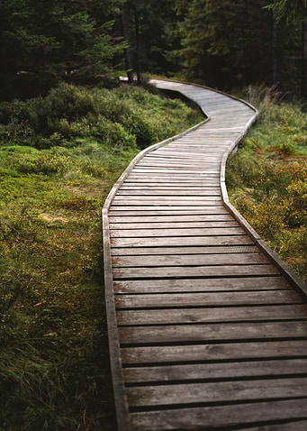 The Path To Nowhere