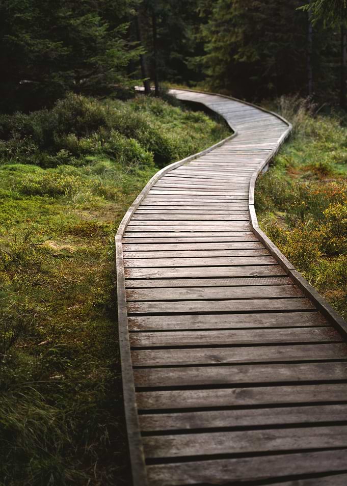 The Path To Nowhere
