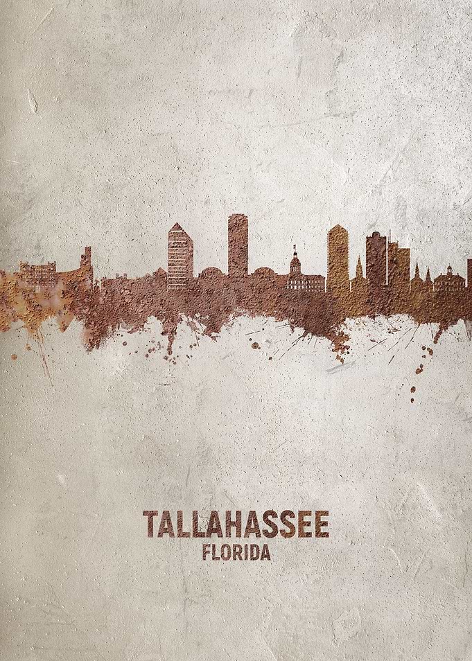 Tallahassee Skyline